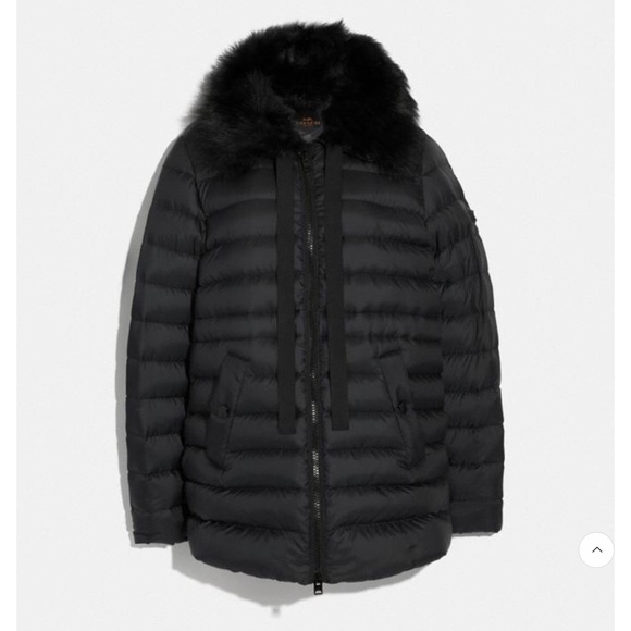 Coach Black Down Jacket With Shearling Collar - Main Image